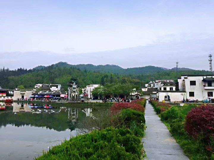 《黄山之旅》这真的只是抛砖引玉,更美的在后面